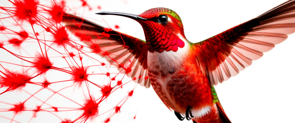 Разжижение крови: почему это важно?